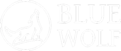 Blue Wolf Capital Partners logo featuring wolf silhouette in circle with company name in clean typography