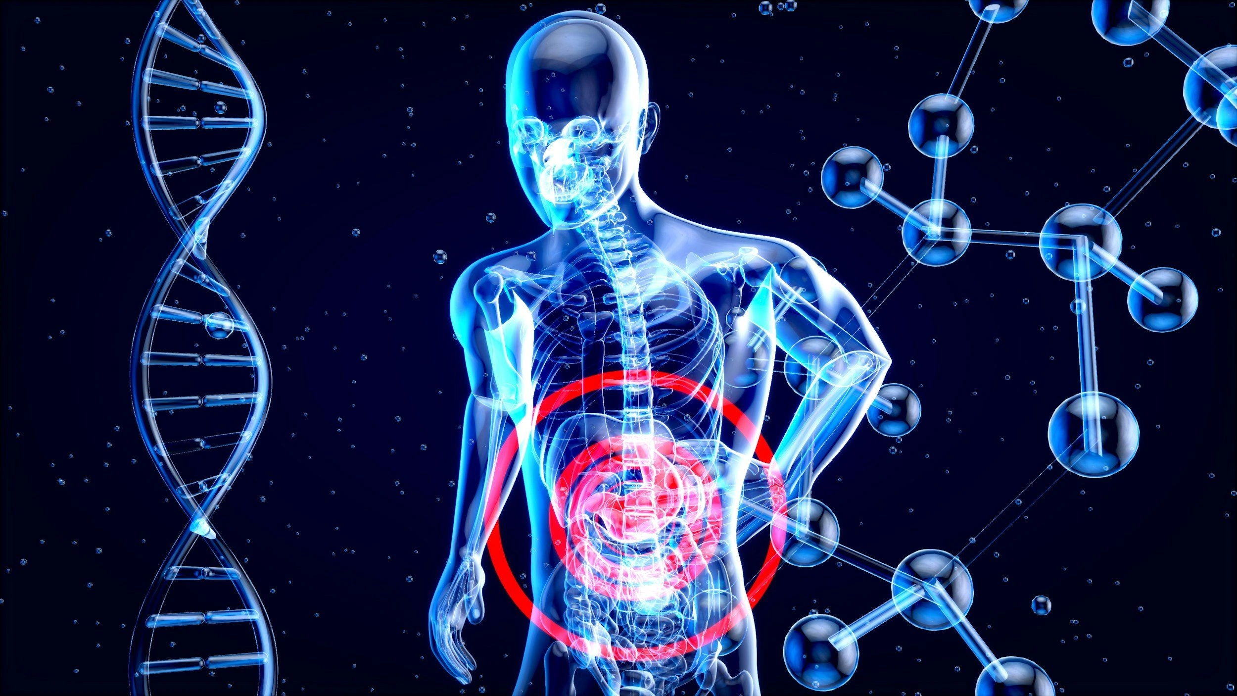 Human anatomy visualization showing skeletal system and digestive organs with DNA helix and molecular structures - In Appleton, Brookfield, Milwaukee, WI & Gurnee, IL